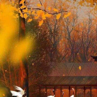 三国点将录九玩版下载